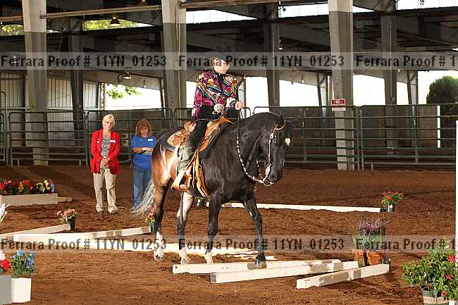 Proof 11yn_01253