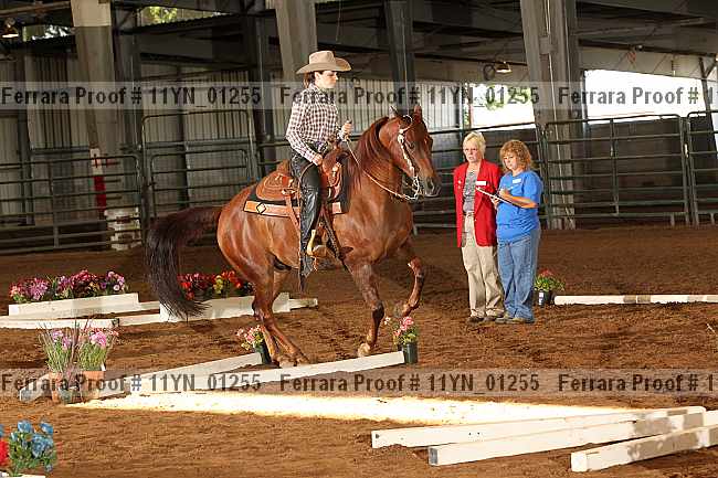 Proof 11yn_01255