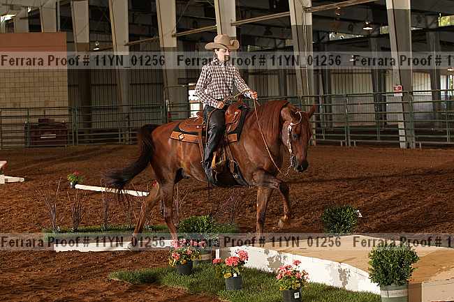Proof 11yn_01256