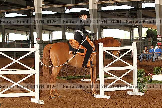 Proof 11yn_01261