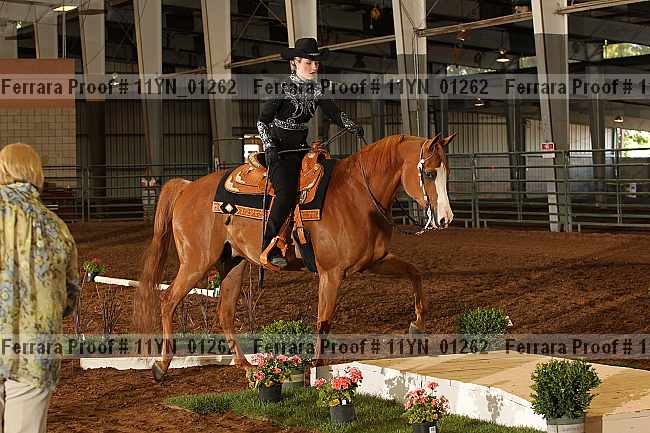 Proof 11yn_01262