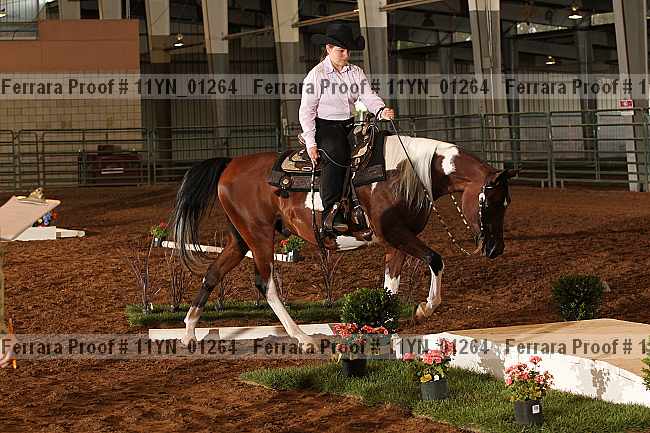 Proof 11yn_01264