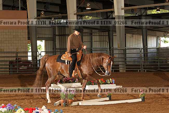Proof 11yn_01266