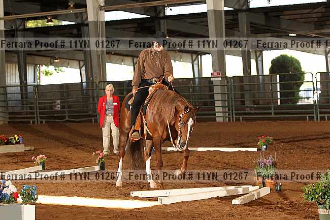 Proof 11yn_01267