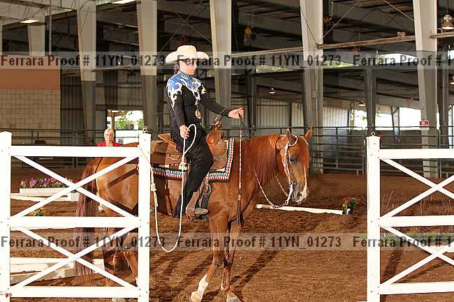 Proof 11yn_01273