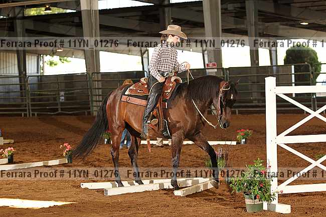 Proof 11yn_01276