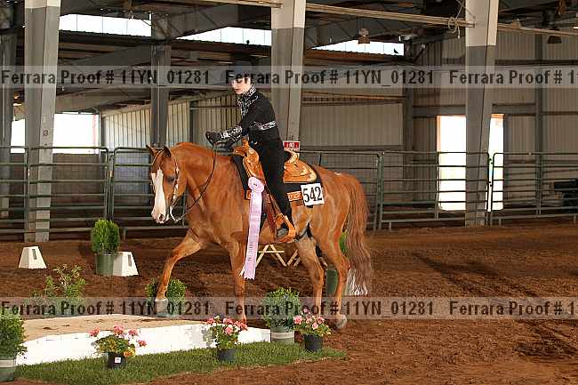 Proof 11yn_01281