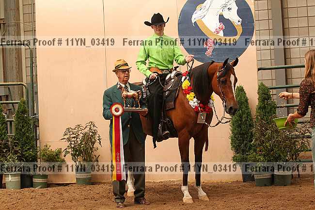 Proof 11yn_03419