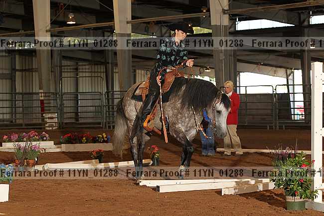 Proof 11yn_01288