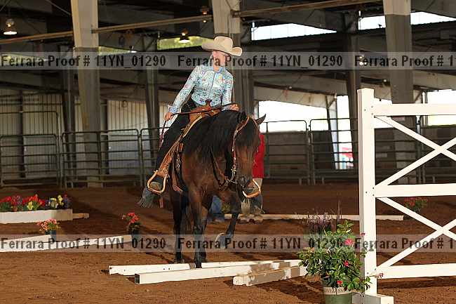 Proof 11yn_01290