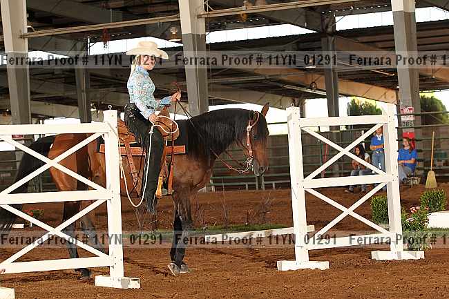 Proof 11yn_01291