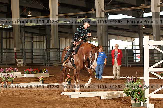 Proof 11yn_01293