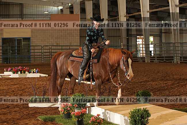 Proof 11yn_01296