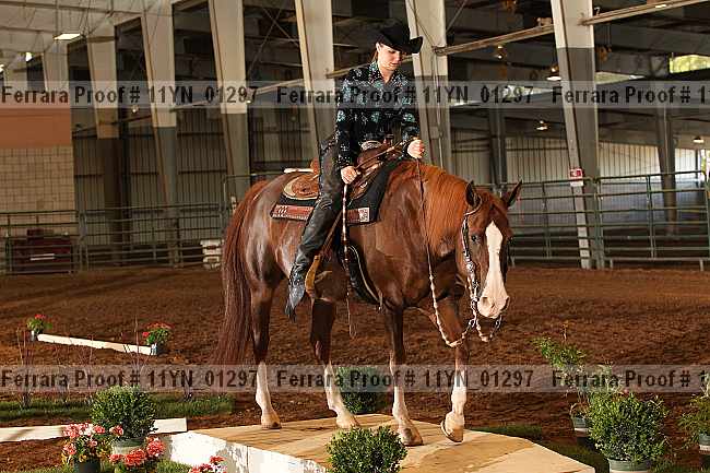Proof 11yn_01297