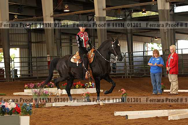 Proof 11yn_01301