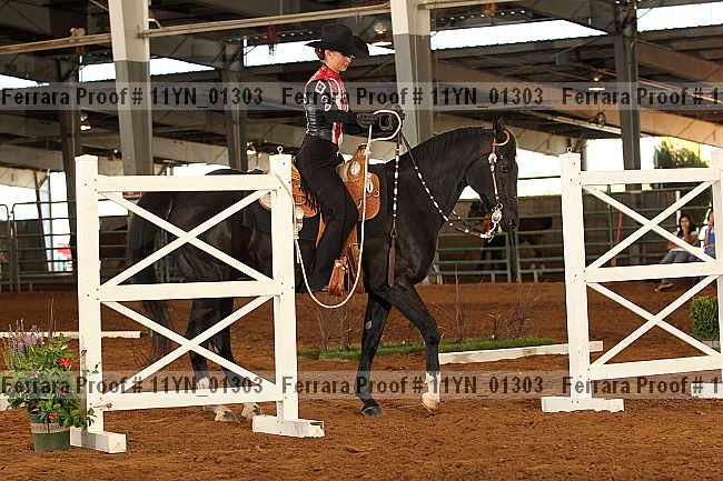 Proof 11yn_01303