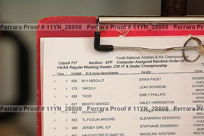 Proof 11yn_28808