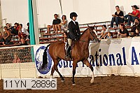 11yn_28896 proof