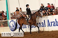 11yn_28905 proof
