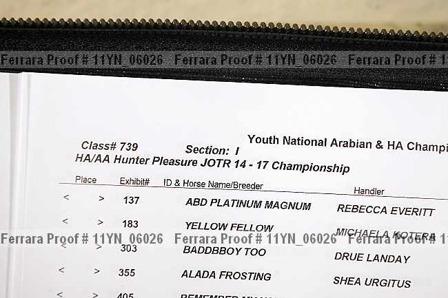 Proof 11yn_06026