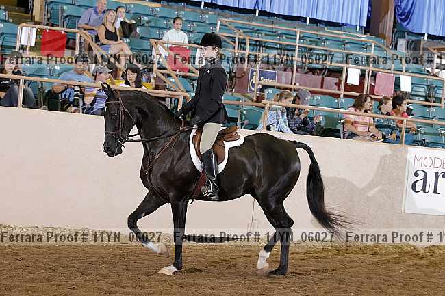 Proof 11yn_06027