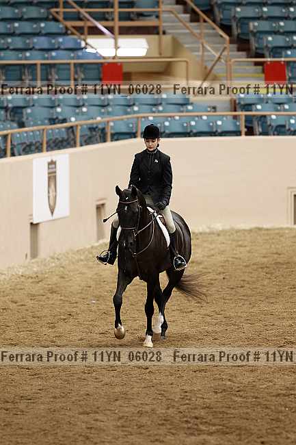 Proof 11yn_06028