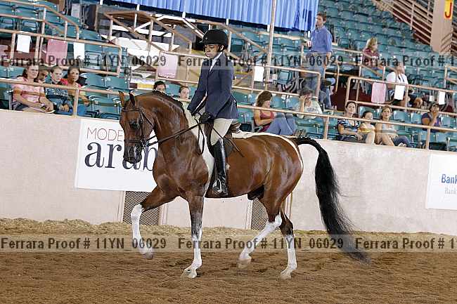 Proof 11yn_06029