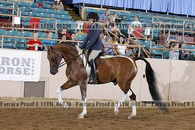 Proof 11yn_06030