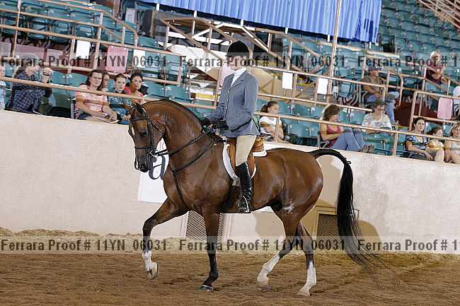 Proof 11yn_06031
