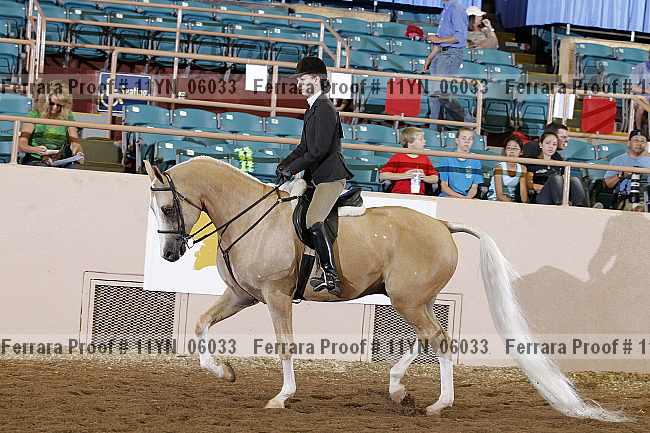 Proof 11yn_06033