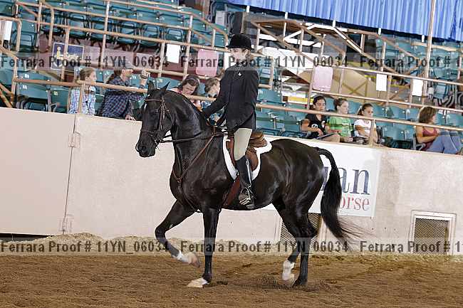 Proof 11yn_06034