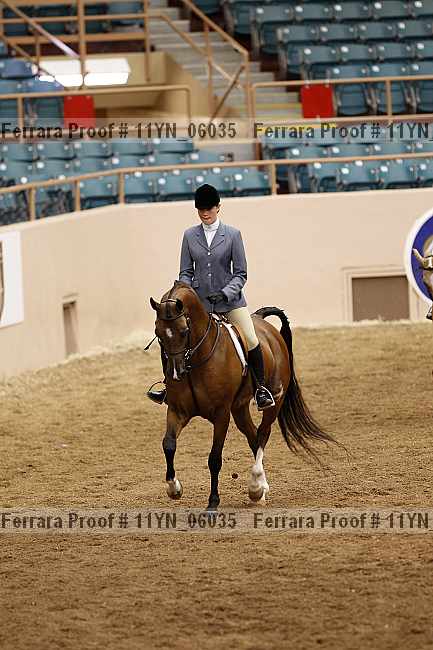 Proof 11yn_06035