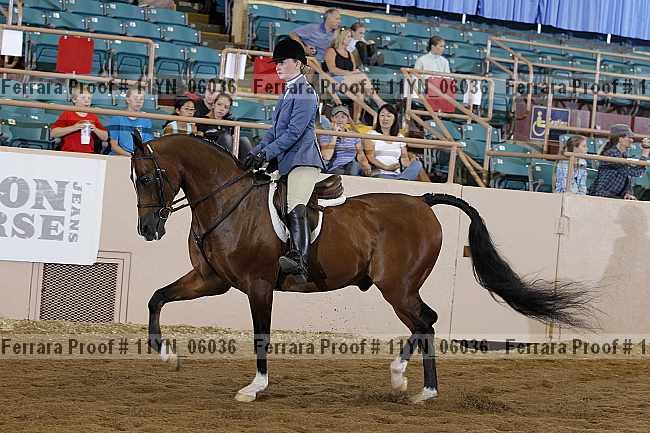 Proof 11yn_06036