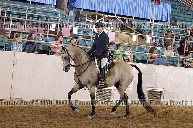 Proof 11yn_06037