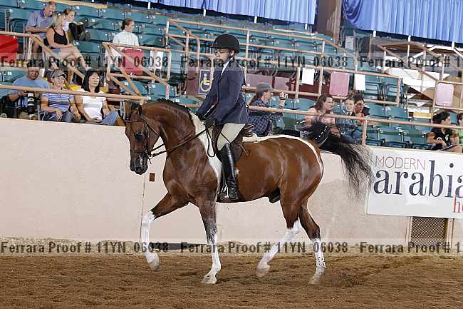 Proof 11yn_06038