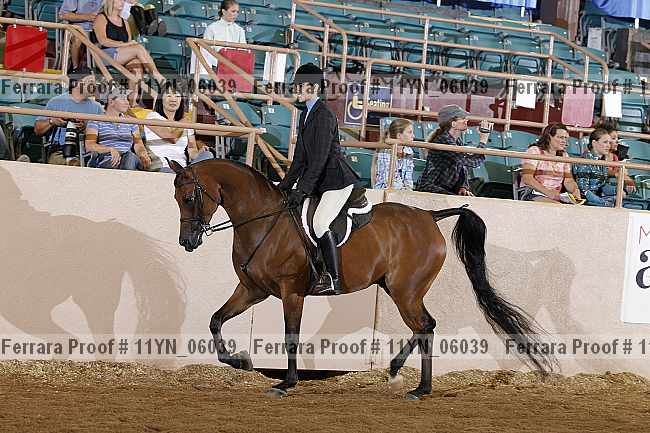 Proof 11yn_06039