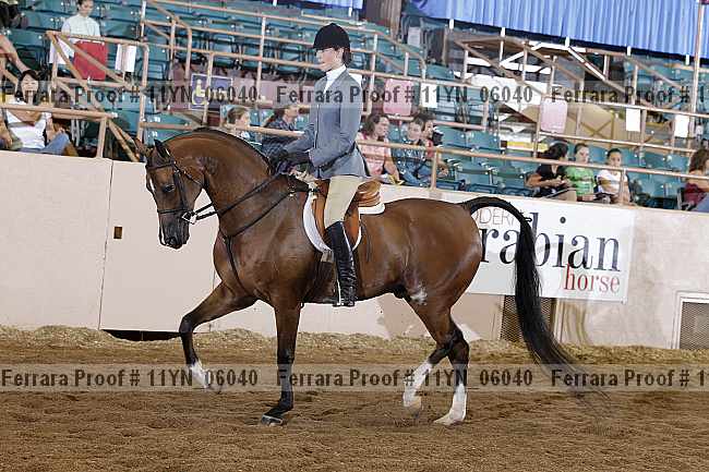 Proof 11yn_06040