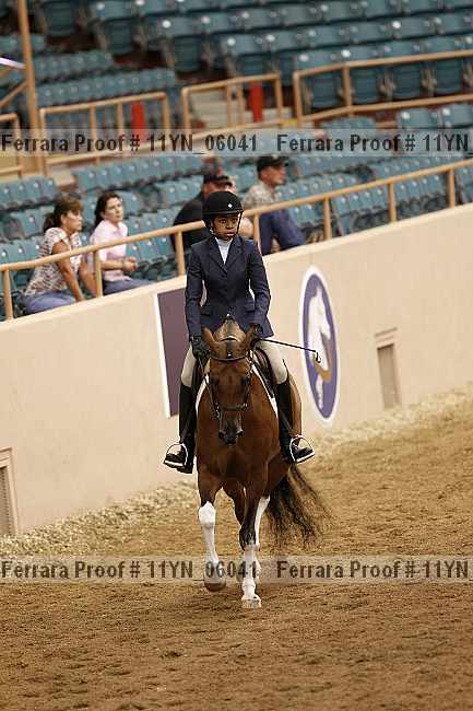 Proof 11yn_06041