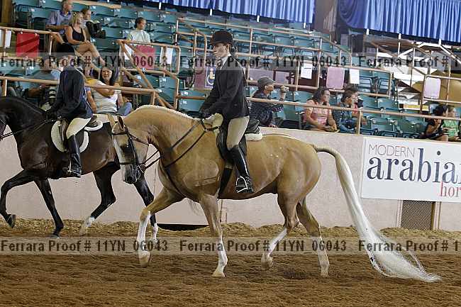 Proof 11yn_06043