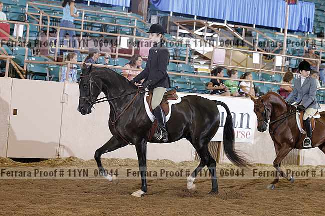 Proof 11yn_06044