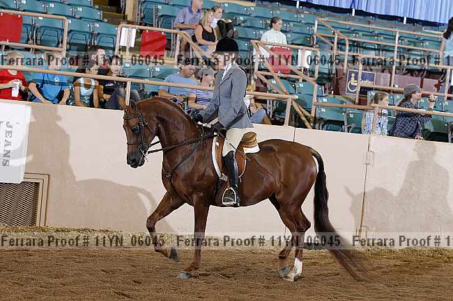 Proof 11yn_06045
