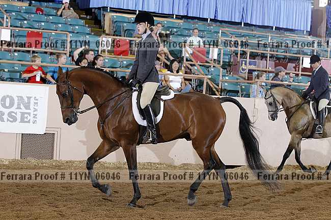 Proof 11yn_06046