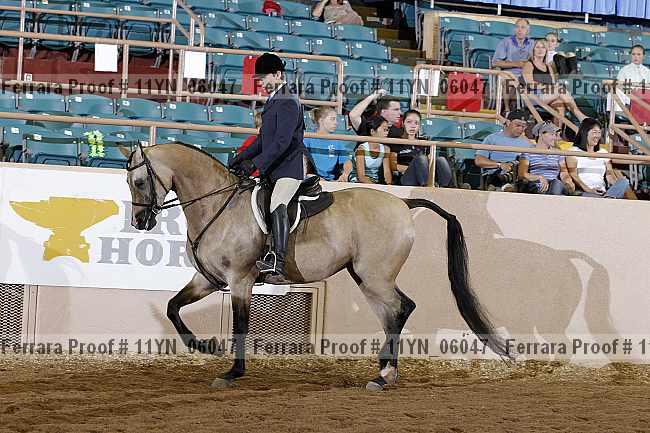 Proof 11yn_06047
