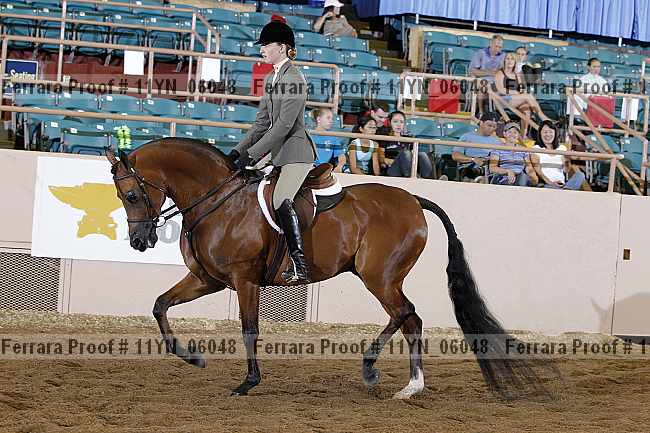 Proof 11yn_06048