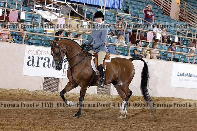 Proof 11yn_06050
