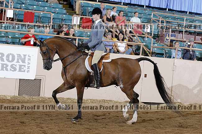 Proof 11yn_06051