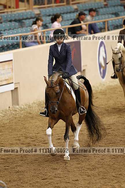 Proof 11yn_06052