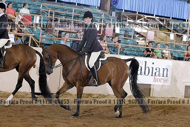 Proof 11yn_06053