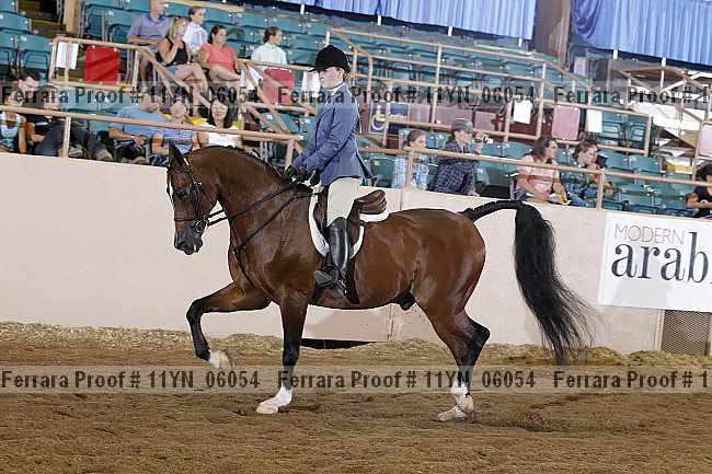 Proof 11yn_06054