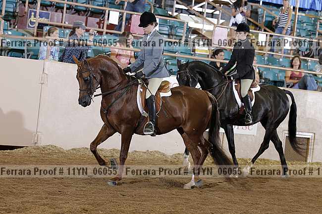Proof 11yn_06055